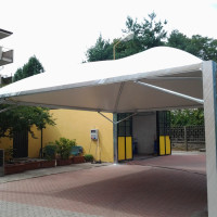 CICOGNA MAX